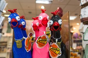 Squeeze Me Chicken in verschiedenen Farben